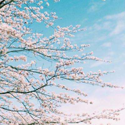 IM体育官方网站入口